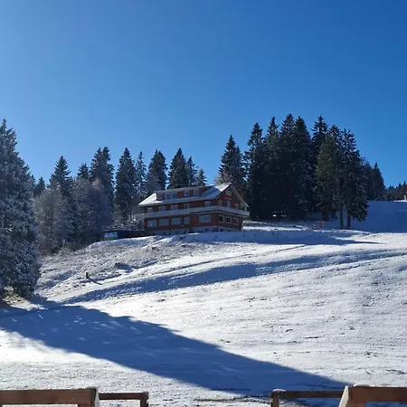 Berggasthaus Auerhahn - In- Out- Gasthof Feldberg (Baden-Wurttemberg)